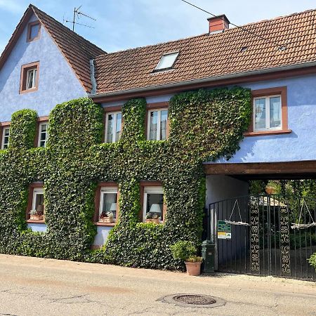 Schoenbachhof Silz  Buitenkant foto